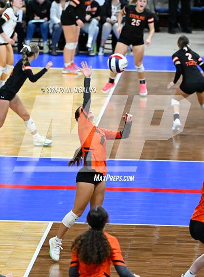 Thumbnail 1 in Del Norte vs. Haxtun (CHSAA 2A First Round) photogallery.