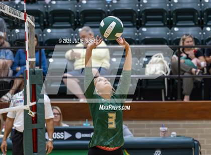 Thumbnail 3 in JV: Buna @ East Chambers photogallery.