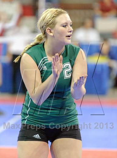 null - Photo 81