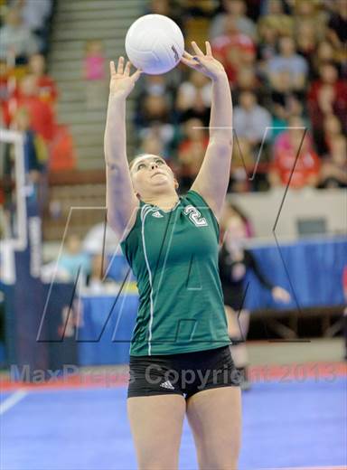 null - Photo 91