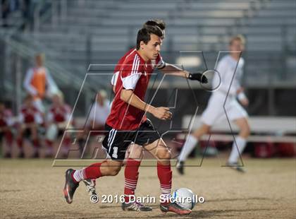 Thumbnail 2 in Ironwood @ Basha photogallery.