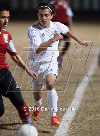 Thumbnail 1 in Ironwood @ Basha photogallery.