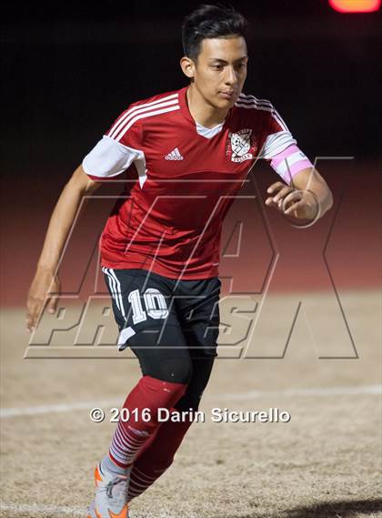 Thumbnail 1 in Ironwood @ Basha photogallery.