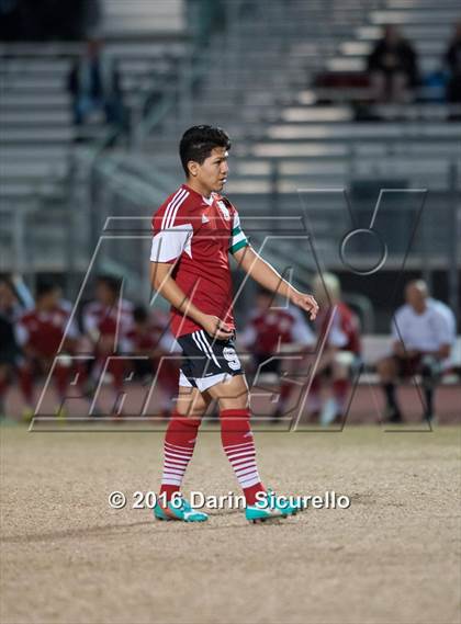 Thumbnail 2 in Ironwood @ Basha photogallery.
