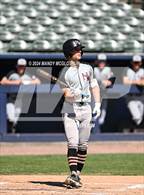 Photo from the gallery "Glenwood @ Normal West"
