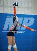 Photo from the gallery "Brighton @ Bingham"