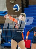 Photo from the gallery "Brighton @ Bingham"