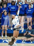 Photo from the gallery "Brighton @ Bingham"