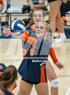 Photo from the gallery "Brighton @ Bingham"