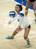Photo from the gallery "Brighton @ Bingham"