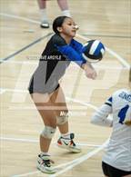 Photo from the gallery "Brighton @ Bingham"