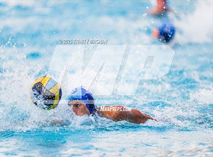 Thumbnail 2 in Evergreen Valley @ Branham photogallery.