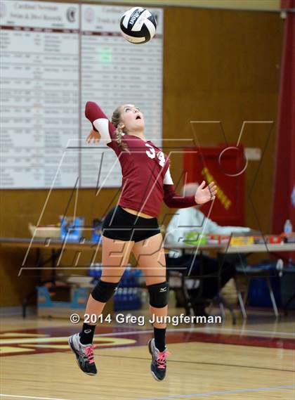 Thumbnail 1 in Analy @ Cardinal Newman photogallery.