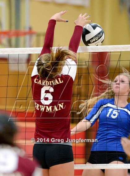 Thumbnail 3 in Analy @ Cardinal Newman photogallery.