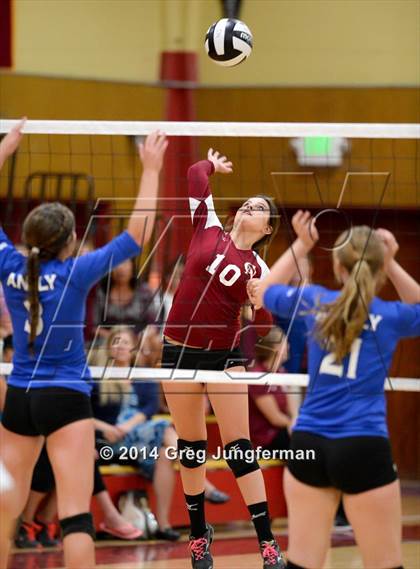 Thumbnail 1 in Analy @ Cardinal Newman photogallery.