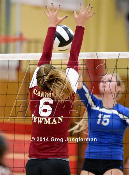 Thumbnail 2 in Analy @ Cardinal Newman photogallery.