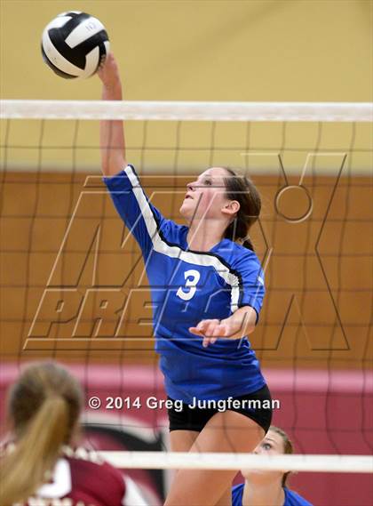 Thumbnail 1 in Analy @ Cardinal Newman photogallery.