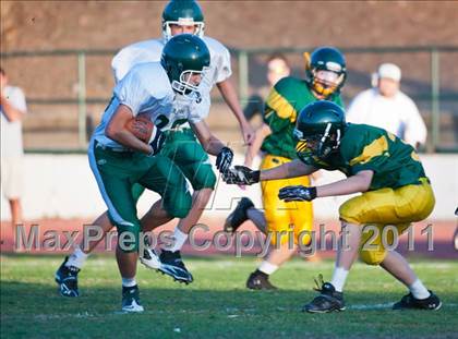 Thumbnail 2 in Colfax @ Placer photogallery.
