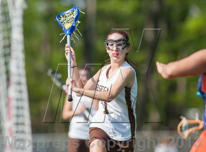 Thumbnail 2 in Millville @ Absegami photogallery.