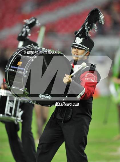 Thumbnail 1 in Centennial vs Williams Field (AIA 5A Final) photogallery.