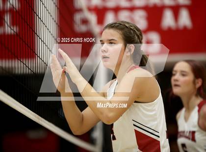 Thumbnail 3 in Mogollon vs Coolidge (Florence Invitational) photogallery.