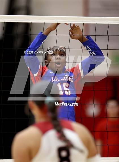 Thumbnail 1 in Mogollon vs Coolidge (Florence Invitational) photogallery.