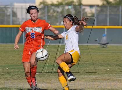 Thumbnail 3 in Bishop Gorman @ Bonanza photogallery.