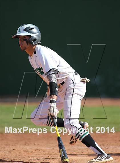 Thumbnail 1 in Bel Air vs Amphitheater (Panther Invitational) photogallery.
