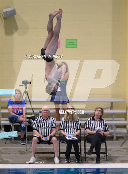 Thumbnail 3 in CHSAA 5A Boys Diving - State Championship photogallery.