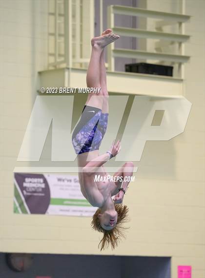 Thumbnail 2 in CHSAA 5A Boys Diving - State Championship photogallery.