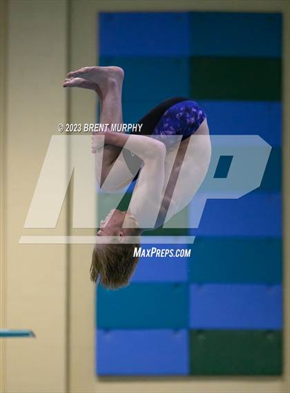 Thumbnail 3 in CHSAA 5A Boys Diving - State Championship photogallery.