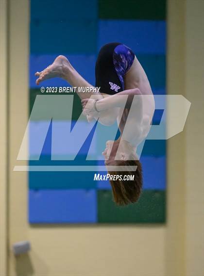 Thumbnail 3 in CHSAA 5A Boys Diving - State Championship photogallery.