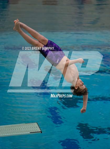 Thumbnail 1 in CHSAA 5A Boys Diving - State Championship photogallery.