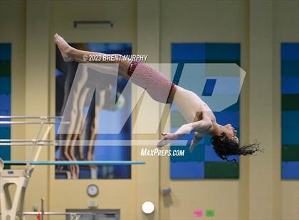 Thumbnail 3 in CHSAA 5A Boys Diving - State Championship photogallery.