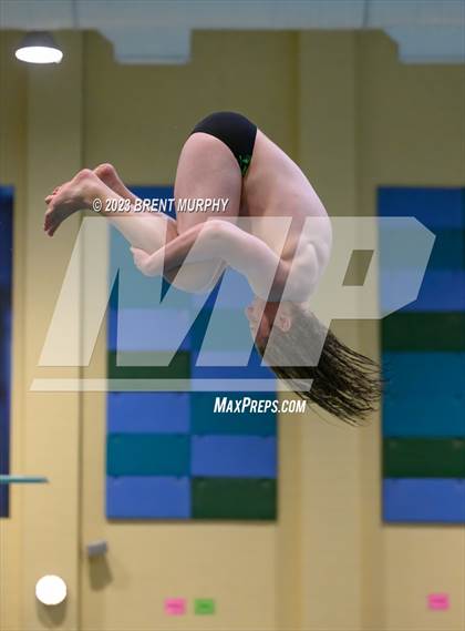 Thumbnail 3 in CHSAA 5A Boys Diving - State Championship photogallery.