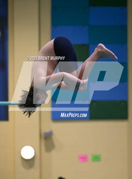Thumbnail 3 in CHSAA 5A Boys Diving - State Championship photogallery.