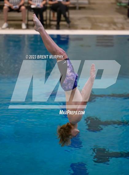 Thumbnail 1 in CHSAA 5A Boys Diving - State Championship photogallery.