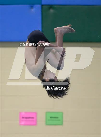 Thumbnail 3 in CHSAA 5A Boys Diving - State Championship photogallery.