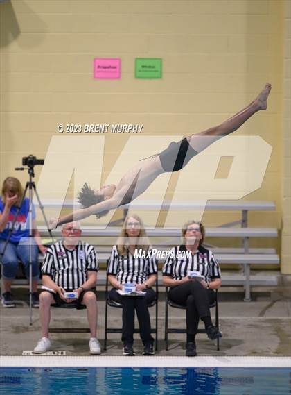 Thumbnail 3 in CHSAA 5A Boys Diving - State Championship photogallery.