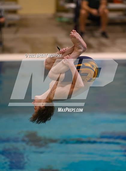 Thumbnail 2 in CHSAA 5A Boys Diving - State Championship photogallery.