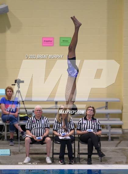 Thumbnail 2 in CHSAA 5A Boys Diving - State Championship photogallery.