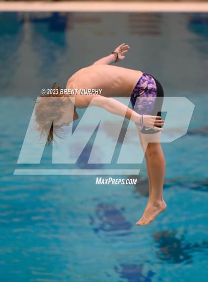Thumbnail 3 in CHSAA 5A Boys Diving - State Championship photogallery.