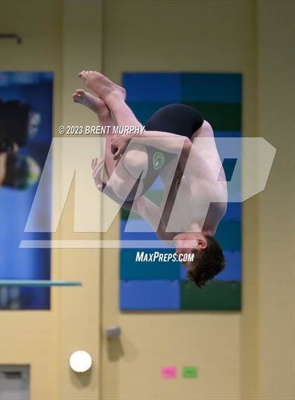 Thumbnail 3 in CHSAA 5A Boys Diving - State Championship photogallery.