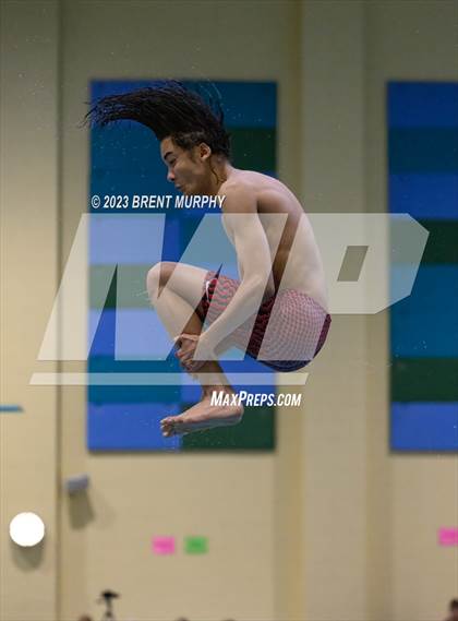 Thumbnail 1 in CHSAA 5A Boys Diving - State Championship photogallery.
