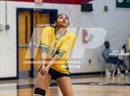 Photo from the gallery "Pine Forest @ Terry Sanford"