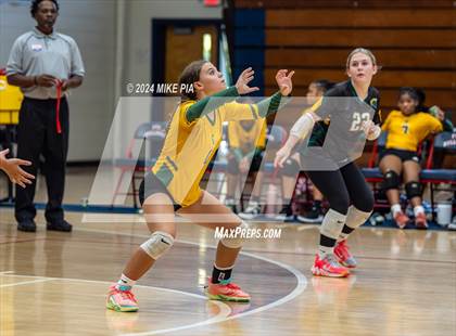 Thumbnail 3 in Pine Forest @ Terry Sanford photogallery.