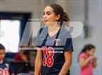 Photo from the gallery "Pine Forest @ Terry Sanford"