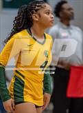 Photo from the gallery "Pine Forest @ Terry Sanford"