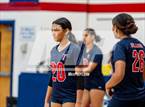 Photo from the gallery "Pine Forest @ Terry Sanford"