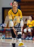 Photo from the gallery "Pine Forest @ Terry Sanford"